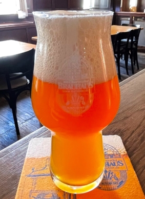 Ein frisch gezapftes Bier auf dem Tresen